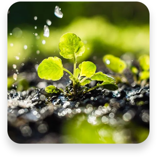 Equipe especializada em licenciamento ambiental